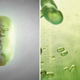 Illustration for article titled Injecting Audis Synthetic Fuel Into A Pressure Chamber Looks Alien